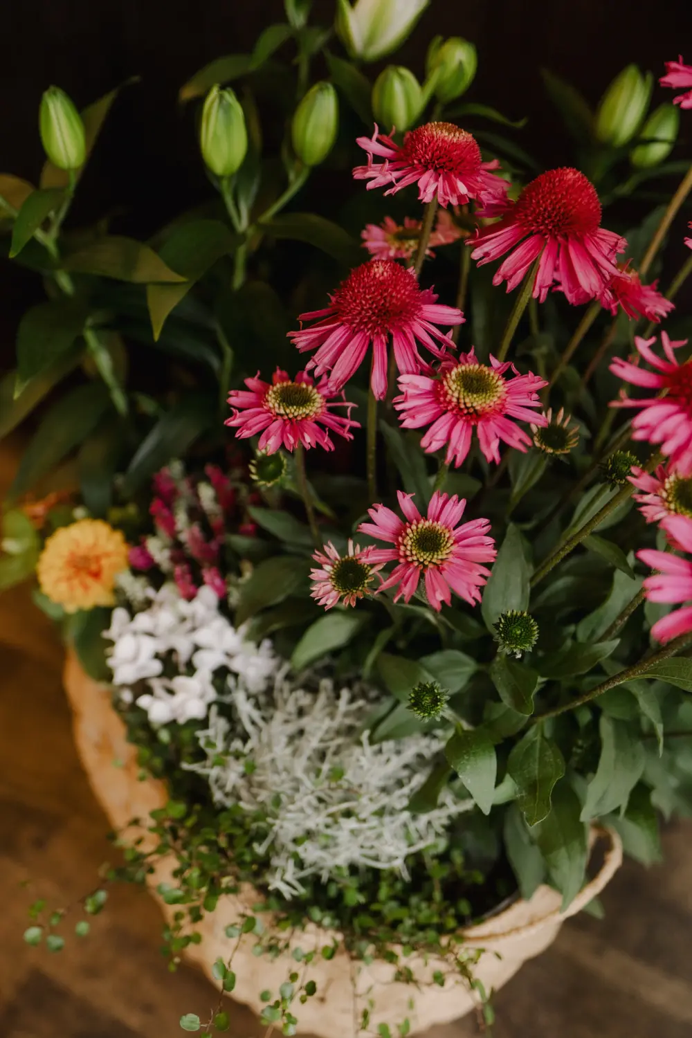 Restaurant Mio Tesoro