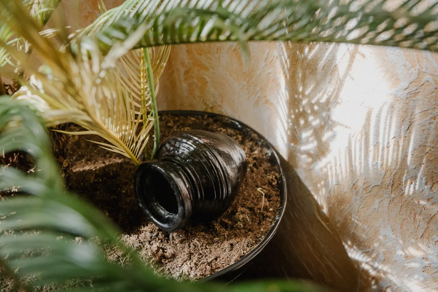 Restaurant Mio Tesoro